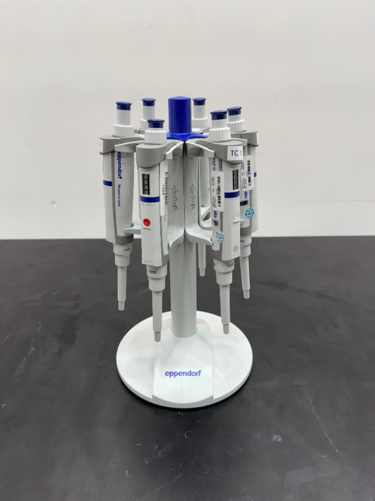 Image of Eppendorf Single Chanel Pipets; Quantity: 6